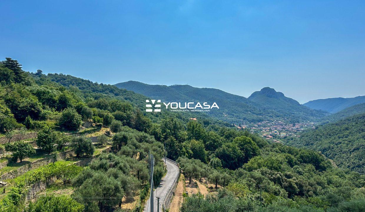 25 VISTA