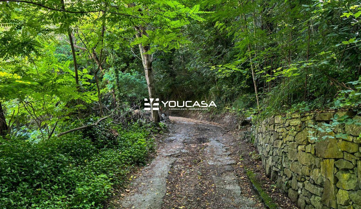 46 STRADA DI ACCESSO