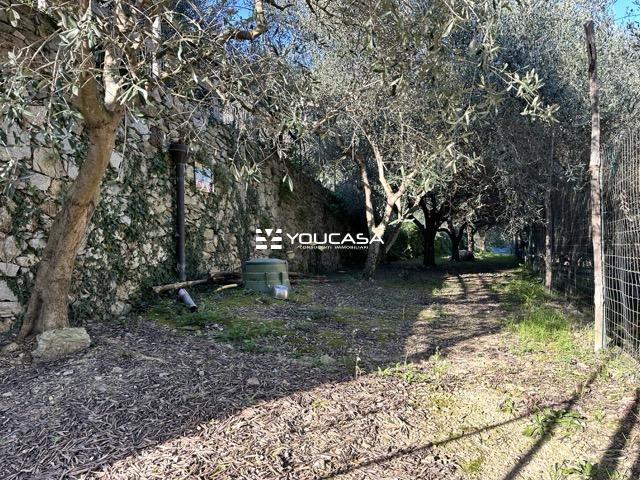 22 TERRENO 02 - dimensioni medie