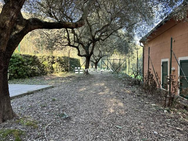 23 TERRENO 03 - dimensioni medie