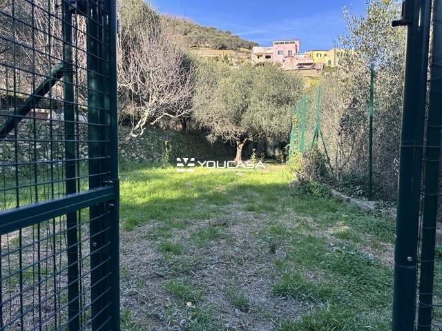 24TERRENO - dimensioni medie